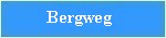 bergweg