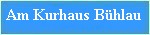 am kurhaus bühlau