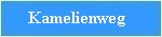 kamelienweg